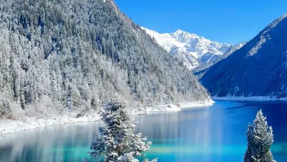 隴南出發九寨溝1日遊【隴南武都起止·上門接駁1—8人小團】