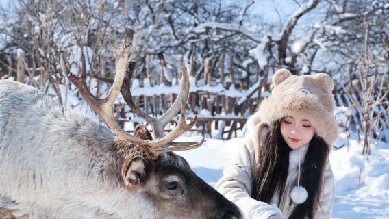 長白山北坡/長白山西坡景勝地1日専用車ツアー+行程カスタマイズ【英語ガイド予約可能】