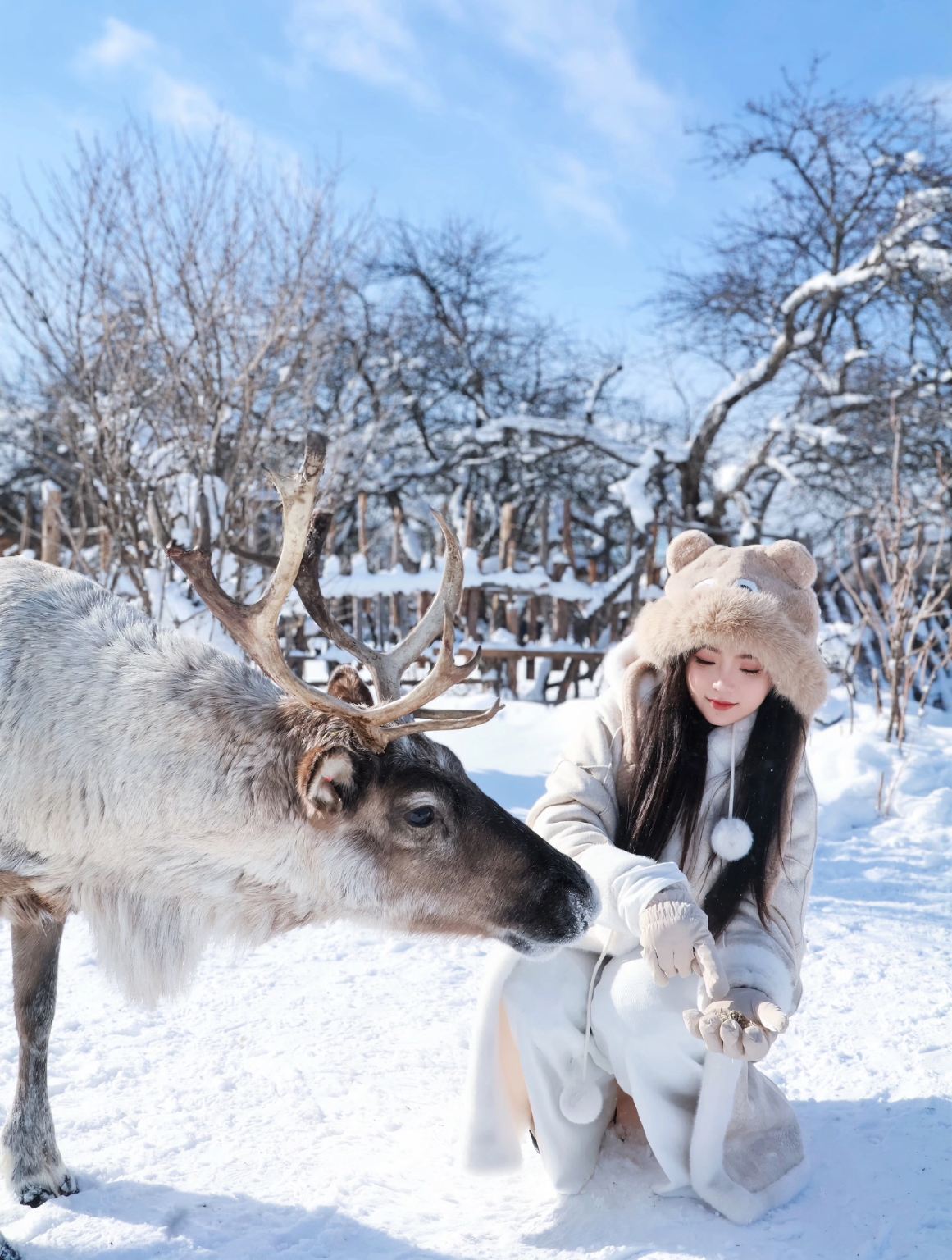 Tour privato con autista di 1 giorno per l'attrazione del versante nord/ovest del Monte Changbai + personalizzazione dell'itinerario [prenotabile con accompagnatore in inglese]