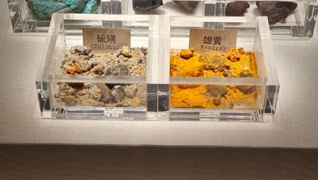 廣東南越王博物院（王墓展區）半日遊【2-15人小團+深度講解】