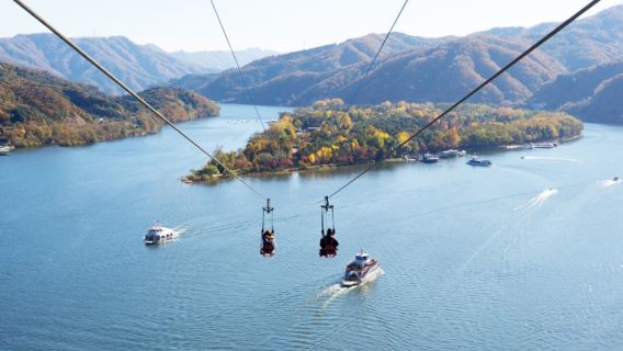 Lawatan Sehari Pelancongan Chuncheon [Pulau Nami + Basikal Rel + Taman Pokok Morning Calm + Dunia Alpaca]