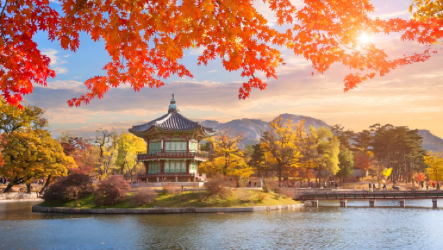 【首爾古宮春色與都市夜景之旅】+【首爾定制浪漫路線精選推薦】