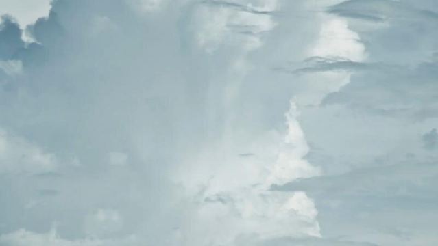 美國+芝加哥360觀景台+千禧公園一日遊/行程可調-隨性而行