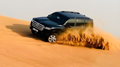 Abu Dhabi: Desert Safari with Central/ Home & Hotel Pickup, Dinner, Live Shows and Sand Boarding 5
