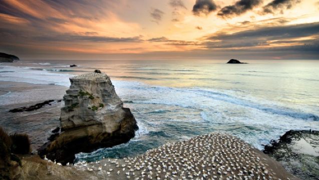 紐西蘭奧克蘭：德文波特+鳥島+黑沙灘+庫姆｜深度遊行程可調