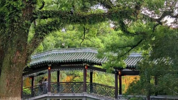 Wenzhou: Yandang mountain + Liu Bowen's hometown scenic area Baizhangji fall | Chinese/English guide | Private customization