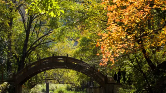 本溪溶洞森林避暑一日遊