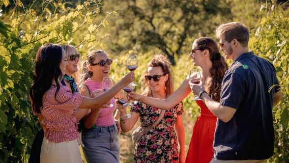 Puolen päivän Chianti-viinin maistelu Firenzestä kahdella viinitilalla