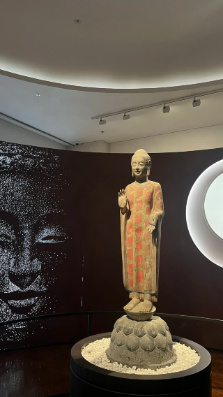 【芳華說】濰坊市青州博物館導覽半日遊 | 10人小團+含耳機
