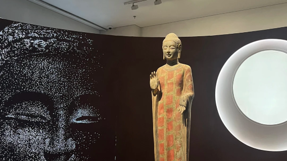 [Fang Hua Bercerita] Lawatan setengah hari dengan penerangan berpandu di Muzium Qingzhou, Weifang | Kumpulan kecil 10 orang + termasuk fon kepala