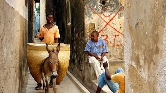 Lamu: Old Town Walking Tour with Local Guide