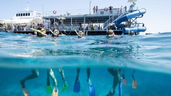 Cairns: Great Barrier Reef Pontoon, Travel by Helicopter