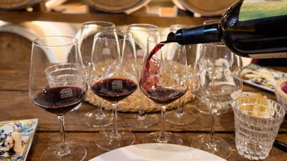 Florence: Pisa, Siena, San Gimignano, Chianti Wine & Lunch