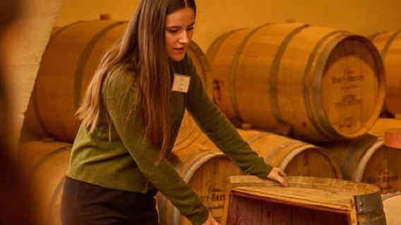 Margaux - Discovery tour of the vineyard with a tasting of 4 wines
