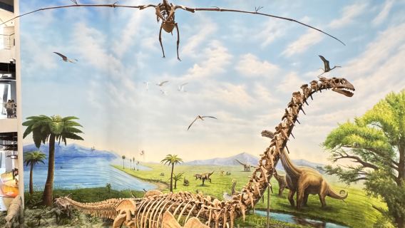 [Eksplorasi Makhluk Legenda] Pasukan Kajian Muzium Paleontologi Liaoning