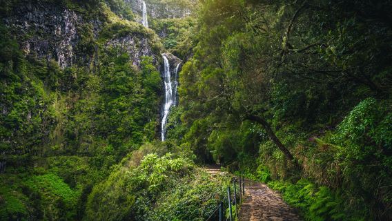 Madeira Island | PR6-25 springs trail + Risco waterfall hiking 1-day (tickets not included)