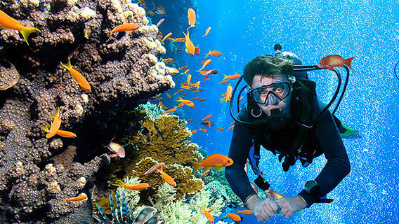 Bohol IslandTours
