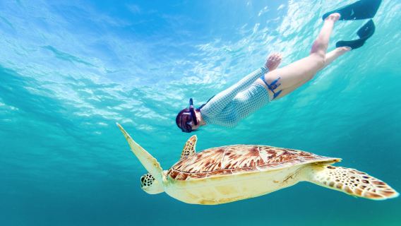 Mexico City Isla Mujeres one-day tour(English Tour, Departs from Cancun, Including Snorkeling and Buffet Lunch)