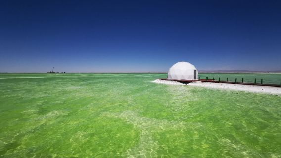 上帝打翻調色盤·可選早午班·封頂8人團·察爾汗鹽湖半日遊