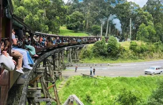 墨爾本普芬比利蒸汽火車+菲利普島一日遊（埃爾法/平治V包車）
