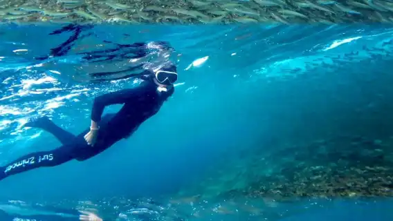 3-hour scuba diving experience at Napaling Reef, Bohol Island, Philippines [round-trip transfer/diving equipment provided/underwater photography/no diving certification required]