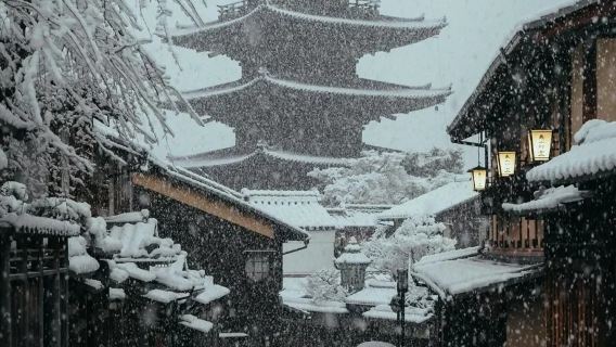 日本京都嵐山+貴船+三千院+嵯峨野小火車-包車【真好呢】