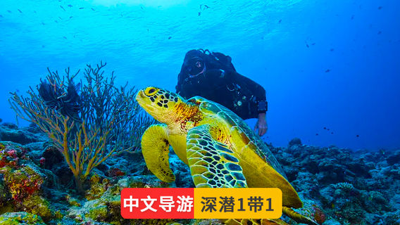 馬達京
