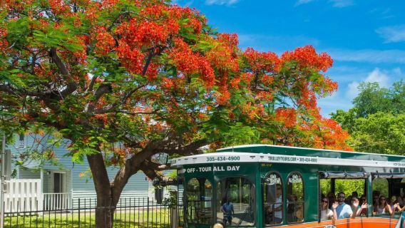 Key West: Tranvía turístico por el casco antiguo