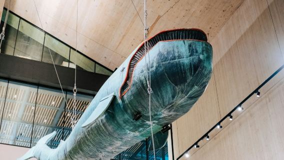 เวียนนา: ทัวร์เดินชมเมืองประวัติศาสตร์พร้อมไกด์