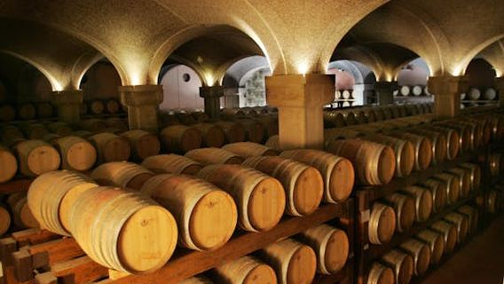 CagliariExperiences