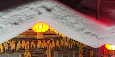 中國雪鄉+大禿頂子山一日遊【賞夜景|亞布力來回景區接駁巴士】