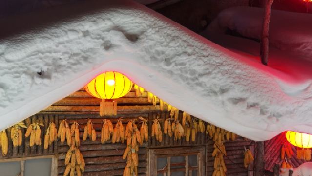 中國雪鄉+大禿頂子山一日遊【賞夜景|暢玩冰雪|馴鹿部落】