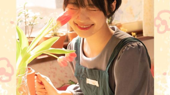 ニュージーランド、ウェリントンでの旅行写真撮影【ドライバー兼ディレクター、旅行写真、航空写真+ウェディング写真、マイクロフィルム+メイクアップと衣料品&アクセサリー+カスタムチャーター車】