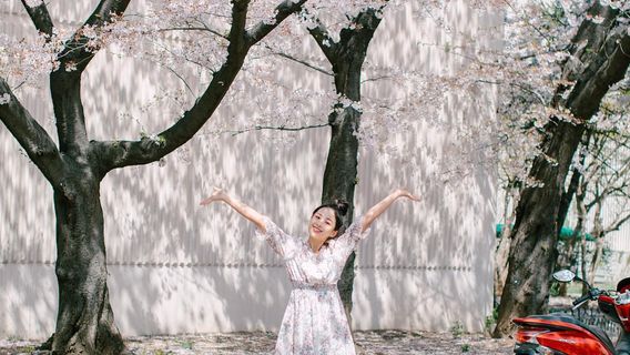 체스키크롬로프