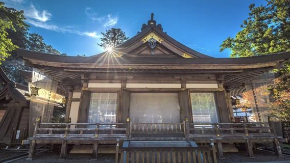 和歌山市日遊