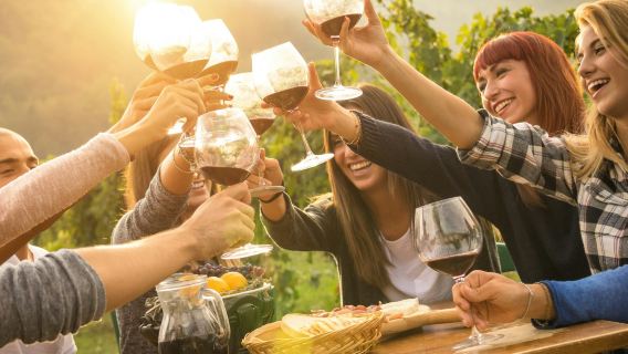 Yarra Valley: Winery Tour with Lunch + Transport from Melbourne