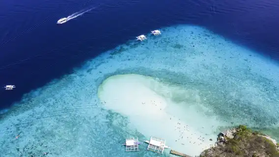 Snorkeling with Whale Sharks in Oslob with Tumalog Falls and Sumilon Island Sandbar