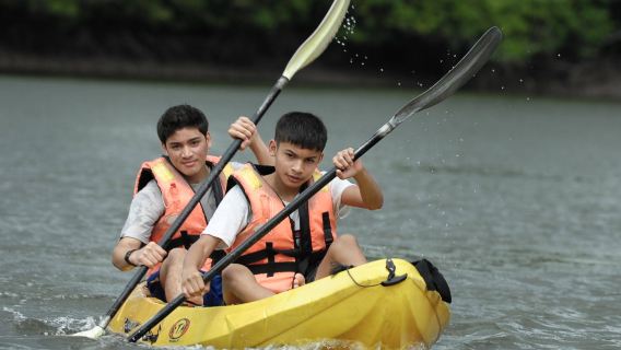 Langkawi Kayaking Adventure & Swimming With Lunch - Share Tour Option
