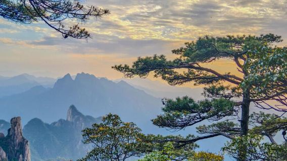Jiangxi Shangrao: Vagoo Scenic Area + Mount Sanqingshan (Private Charter | Customized Tour | Bilingual Guide in Chinese and English)
