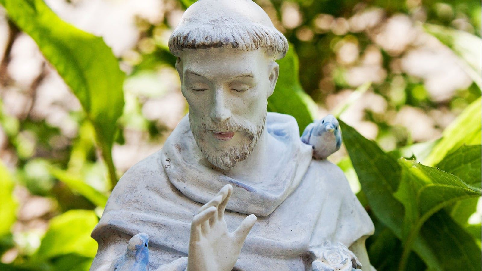 Assisi audio guide with TravelMate app