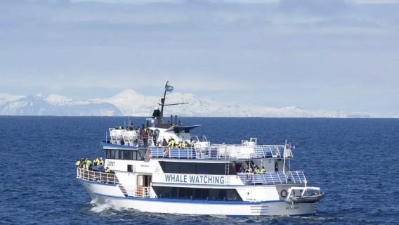 ReykjavikExperiences