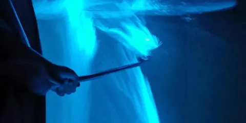 瓜拉雪蘭莪觀鷹餵食、螢火蟲及藍眼淚體驗(含餐飲選擇)