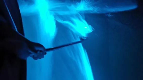 Nourrissage des aigles, observation des lucioles et des larmes bleues à Kuala Selangor (avec options de repas)