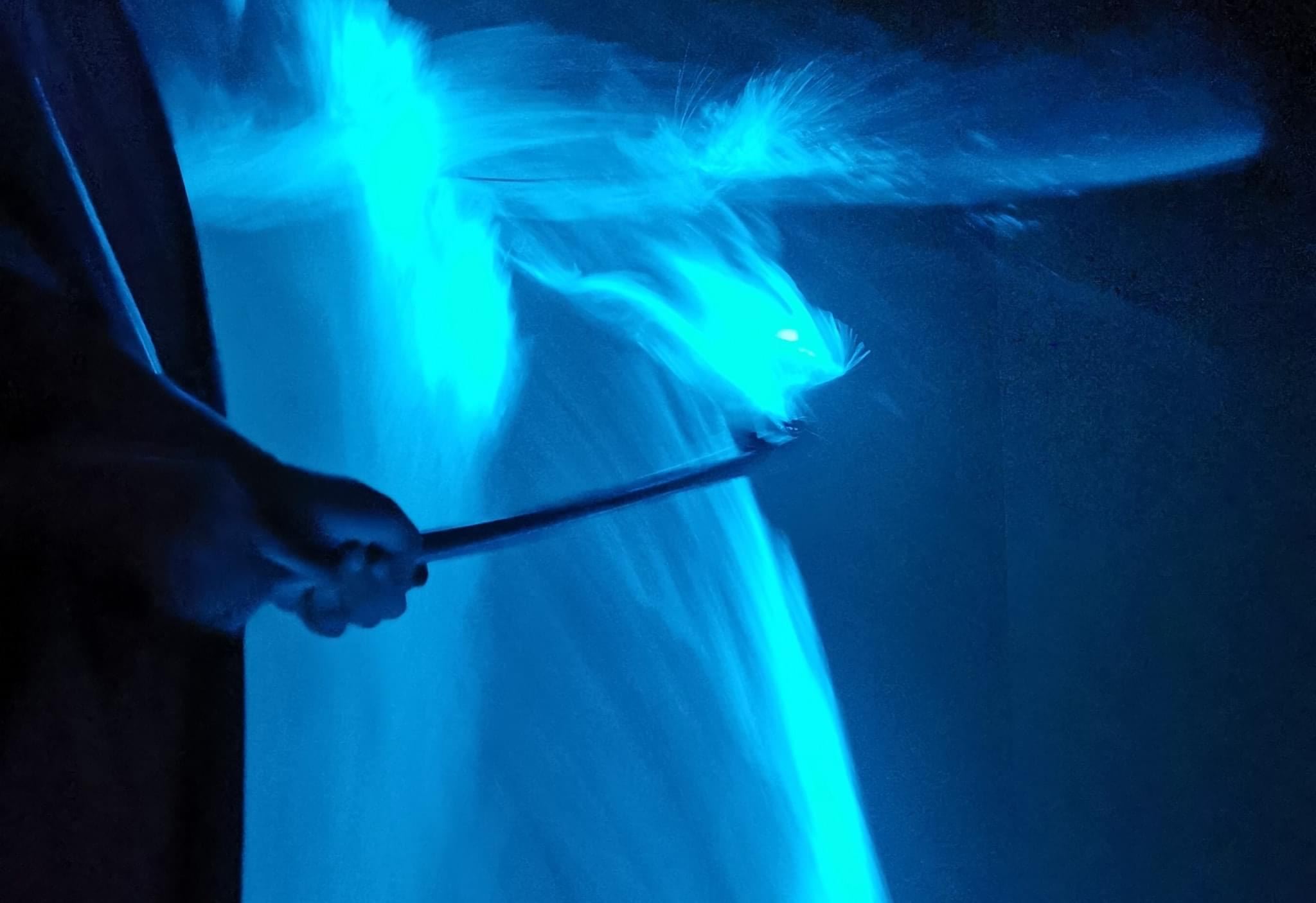 Adlerfütterung, Glühwürmchen & Blaue Tränen Erlebnis in Kuala Selangor (mit Essensoptionen)