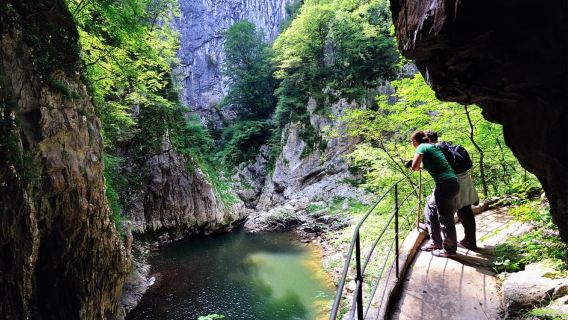 From Ljubljana: Škocjan UNESCO Caves and Piran Full-Day Trip