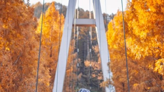 Seoul: Jangtaesan Recreational Forest Autumn Foliage Tour