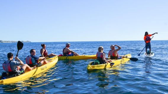 Los Cabos: Kajak- und Schnorcheltour mit Glasboden am Arch