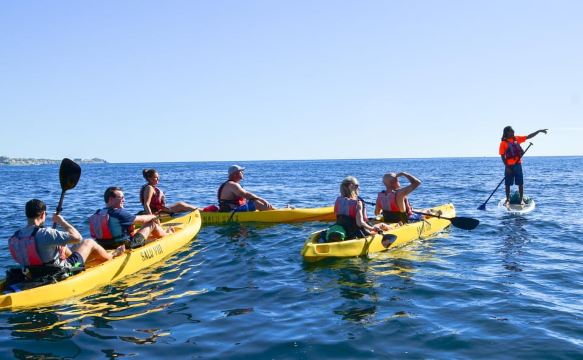 Los Cabos: Glass Bottom Kayak and Snorkel Tour at the Arch