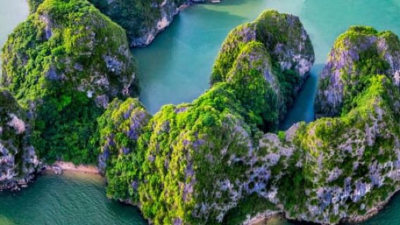 ทัวร์ล่องเรือสุดหรูที่ฮาลองวิทาเวลล์หนึ่งวัน