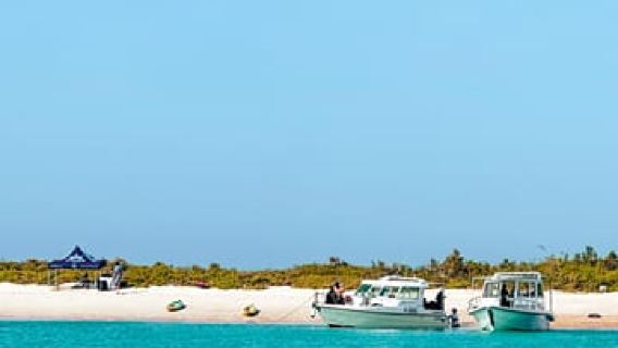 Snorkeling at Dimaniyat Islands from Muscat